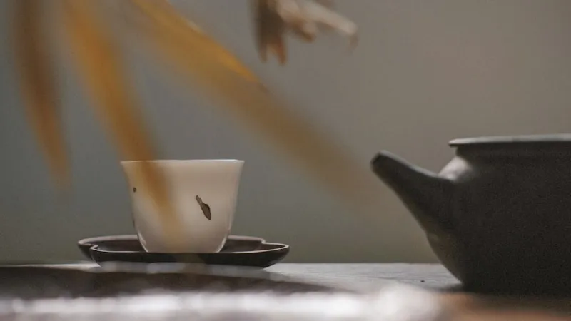 A white cup and dark teapot in perfect balance