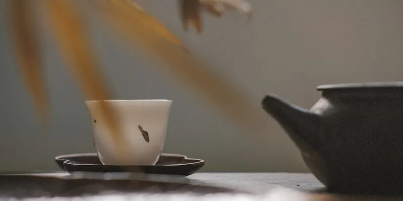 A white cup and dark teapot in perfect balance