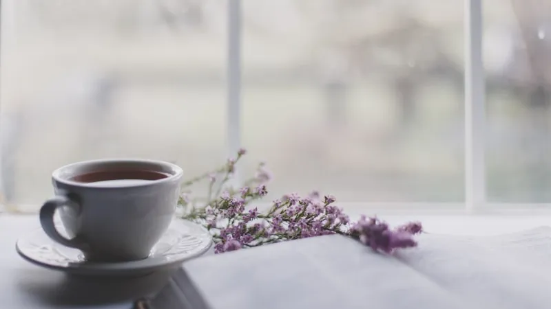 A pure white ceramic teacup on a white saucer